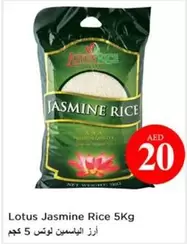 Lotus - Jasmine Rice