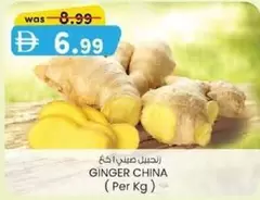 Ginger - GINGER CHINA
