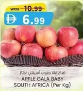 APPLE GALA BABY