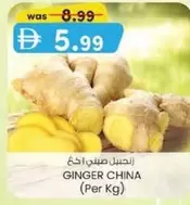 Ginger - GINGER CHINA