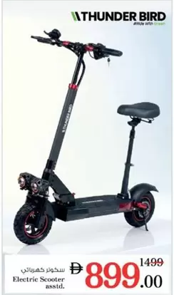 Electric Scooter