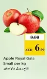 Apple Royal Gala