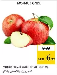 Apple Royal Gala Small