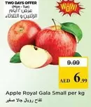 Apple Royal Gala Small