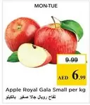 Apple Royal Gala Small