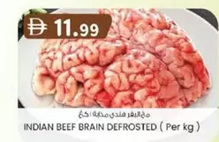 INDIAN BEEF BRAIN DEFROSTED