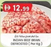 INDIAN BEEF BRAIN DEFROSTED