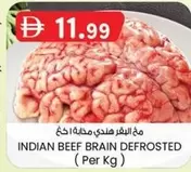 INDIAN BEEF BRAIN DEFROSTED