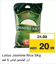Lotus - Jasmine Rice