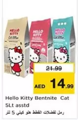 Hello Kitty - Bentrnite Cat