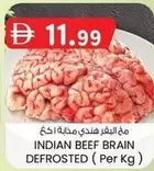 INDIAN BEEF BRAIN DEFROSTED