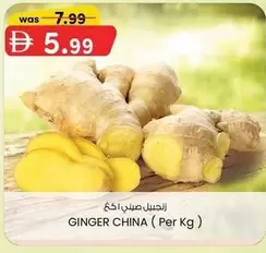 Ginger - GINGER CHINA