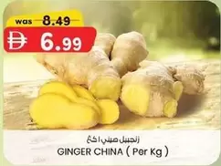 Ginger - GINGER CHINA