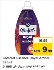 Amber - Essence Royal