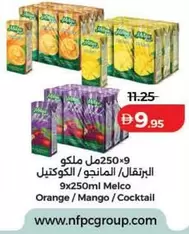 Orange - Melco / Mango / Cocktail