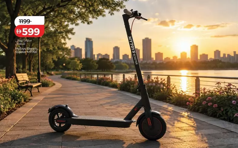 Electric Scooter