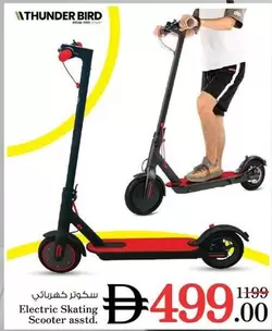 Electric Skating Scooter asstd.