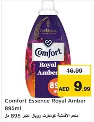 Amber - Essence Royal