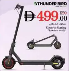 Electric Skating Scooter