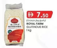 Glutinous Rice
