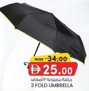 3 FOLD UMBRELLA