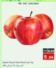 Apple Royal Gala Brazil