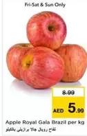 Apple Royal Gala Brazil per kg