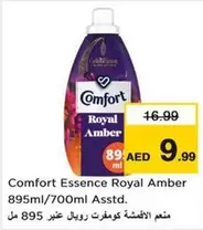Amber - Royal