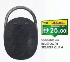 BLUETOOTH SPEAKER CLIP 4