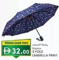 3 FOLD UMBRELLA PRINT