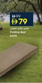 Folding Bed