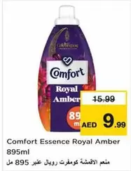 Amber - Essence Royal