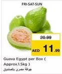 Guava Egypt per Box