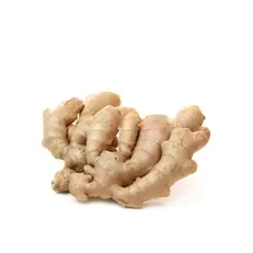 Ginger India