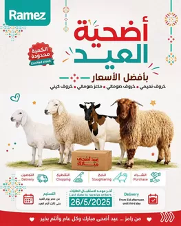 Ramez catalogue | Great offer for all customers | 2026-05-21T00:00:00.000Z - 2026-06-04T00:00:00.000Z