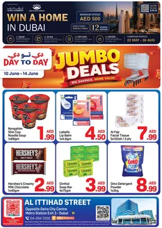 Day to Day catalogue | DCC Flyer Artboard 1 | 2026-05-22T00:00:00.000Z - 2026-08-30T00:00:00.000Z