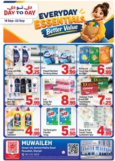 Day to Day catalogue | Muwaileh 01 | 2026-09-16T00:00:00.000Z - 2026-09-22T00:00:00.000Z