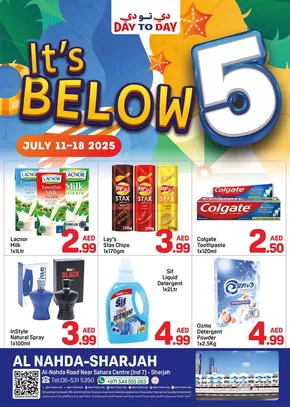 Day to Day catalogue in Ajman | Day to Day promotion | 2025-07-11T00:00:00.000Z - 2025-07-18T00:00:00.000Z