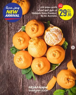 Say Hello to Our Fresh Vitamin C Arrivals! 