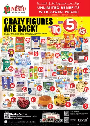 Nesto catalogue in Al Ain | Discounts and promotions | 2025-10-31T00:00:00.000Z - 2025-11-03T00:00:00.000Z