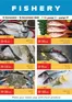 Istanbul Supermarket catalogue in Al Dhaid | Fishery Deals | 2025-11-13T00:00:00.000Z - 2025-11-16T00:00:00.000Z