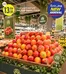 Sharjah Co-op Society catalogue | Just Arrived | 2026-05-19T00:00:00.000Z - 2026-05-22T00:00:00.000Z