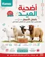 Ramez catalogue | Great offer for all customers | 2026-05-21T00:00:00.000Z - 2026-06-04T00:00:00.000Z