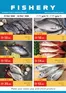 Istanbul Supermarket catalogue | Fishery Deals - Dubai & Sharjah & Ajman | 2026-05-21T00:00:00.000Z - 2026-05-24T00:00:00.000Z