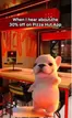 Pizza Hut catalogue in Abu Dhabi | 30% Off On Pizza Hut App | 2026-06-08T00:00:00.000Z - 2026-06-12T00:00:00.000Z