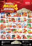 Nesto catalogue in Sharjah | Nesto Maleha Grand 4 days! | 2026-10-22T00:00:00.000Z - 2026-10-26T00:00:00.000Z