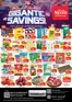 Nesto catalogue | New offers to discover | 2026-10-26T00:00:00.000Z - 2026-10-29T00:00:00.000Z