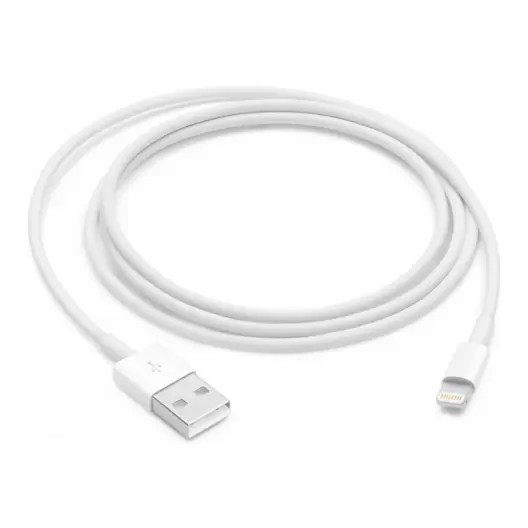 Câble lightning vers USB 1 m