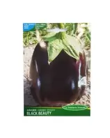 AUBERGINE BLACK BEAUTYSACHET DE 4 GRART 246
