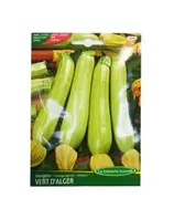 COURGETTE VERTE D'ALGERART 383